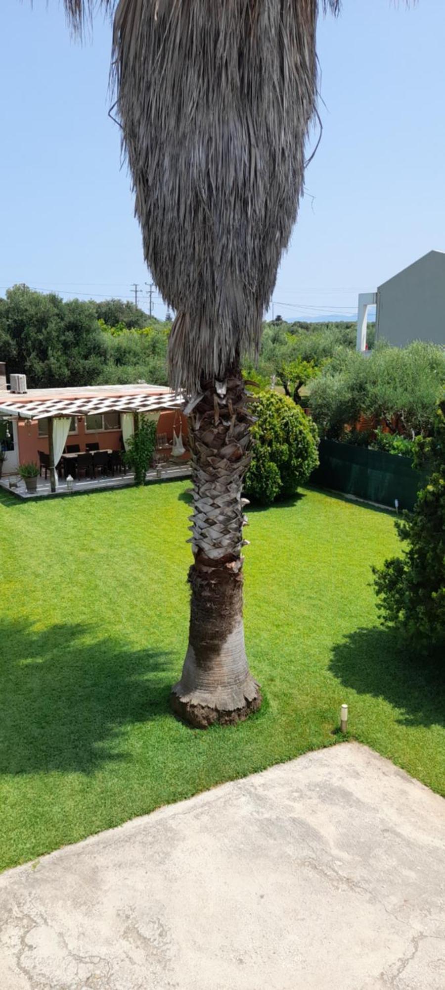 Villa Oneiropagida Preveze Dış mekan fotoğraf