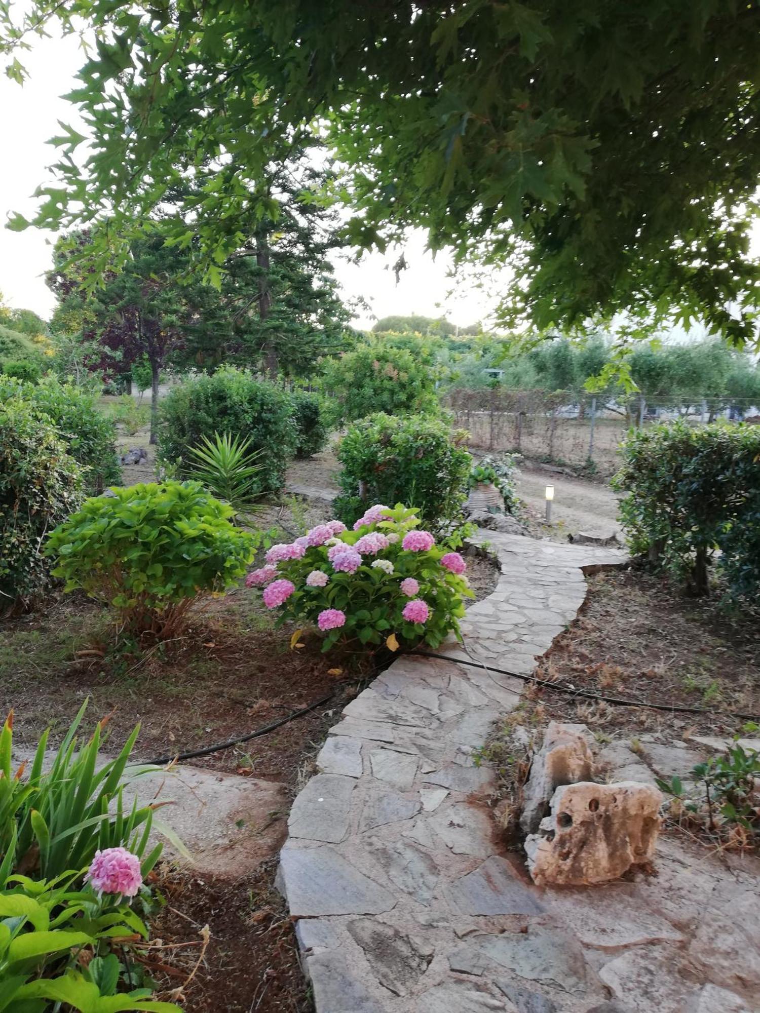 Villa Oneiropagida Preveze Dış mekan fotoğraf